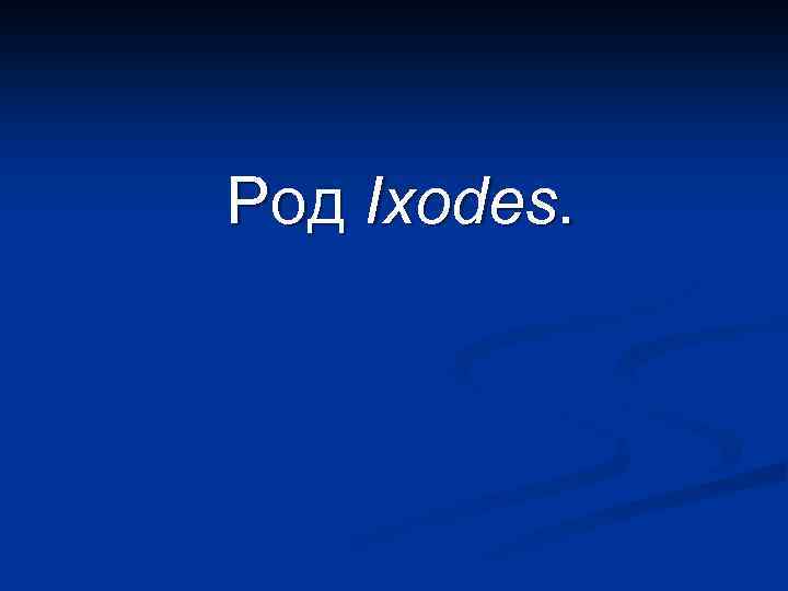 Род Ixodes. 