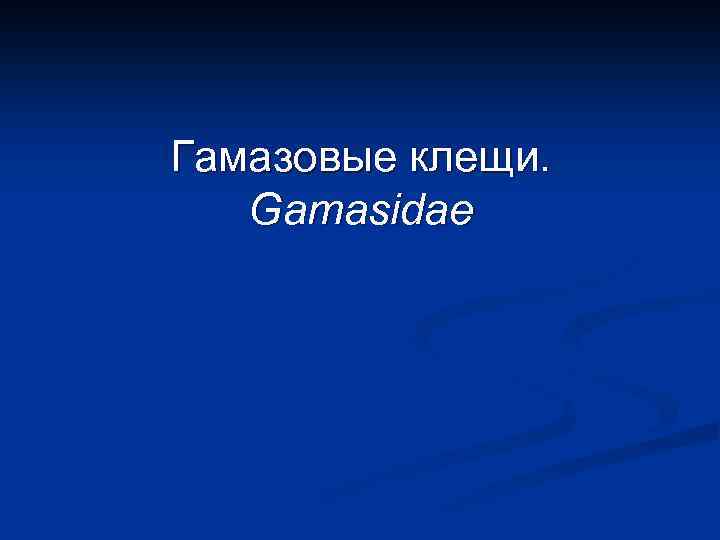 Гамазовые клещи. Gamasidae 