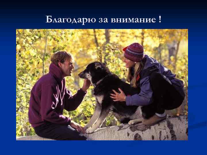 Благодарю за внимание ! 