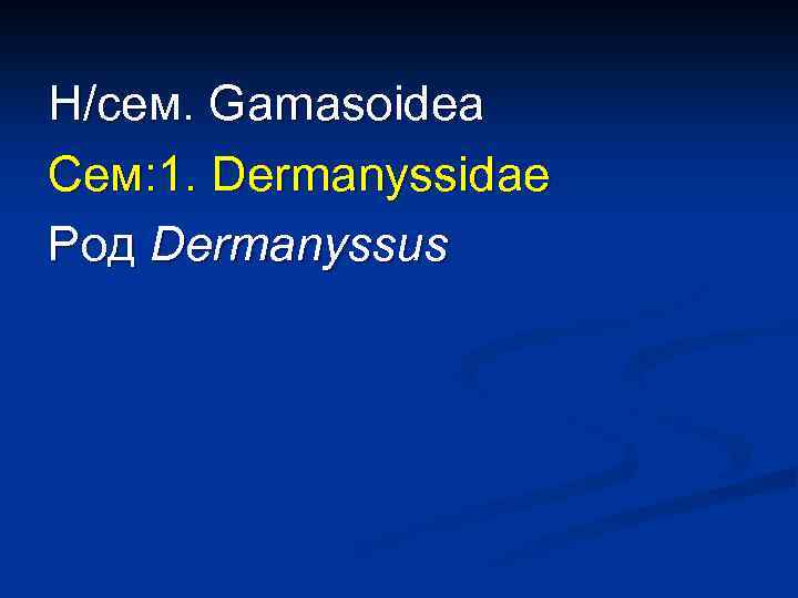 Н/сем. Gamasoidea Сем: 1. Dermanyssidae Род Dermanyssus 