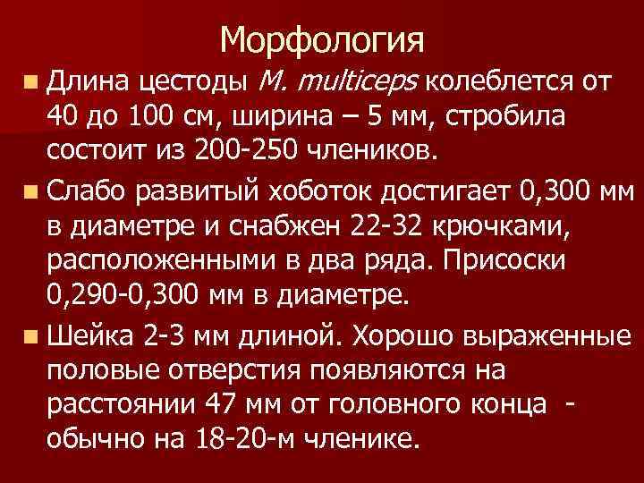 Морфология цестоды М. multiceps колеблется от 40 до 100 см, ширина – 5 мм,