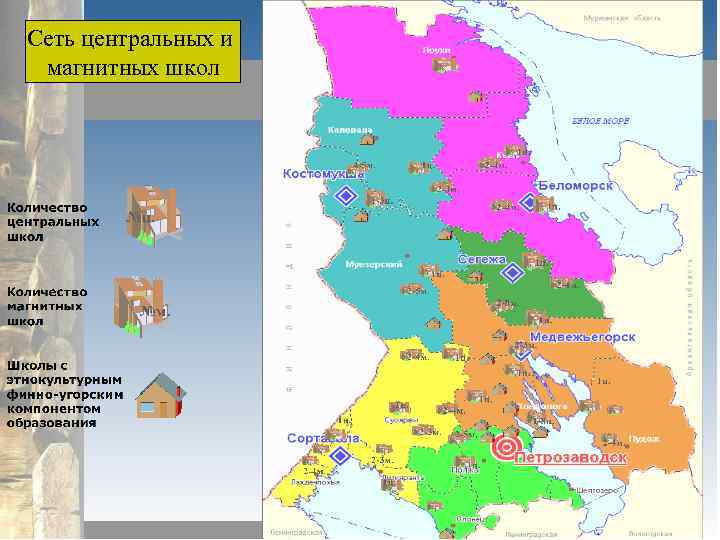 Сеть центральных и магнитных школ 