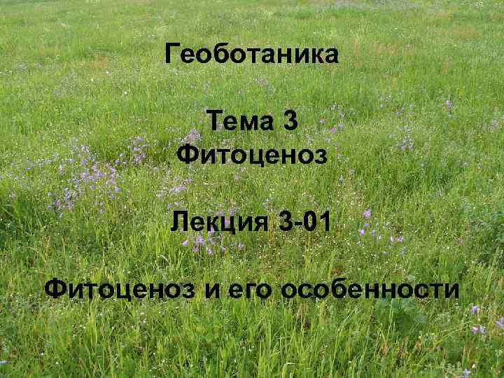 Геоботаника Тема 3 Фитоценоз Лекция 3 -01 Фитоценоз и его особенности 