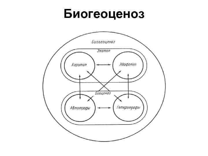 Биогеоценоз 