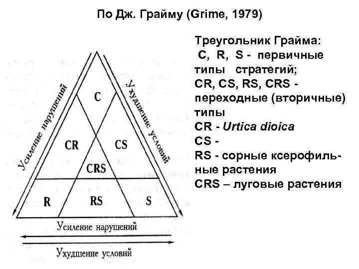 Типы жизненных стратегий. Треугольник Раменского грайма. Типы стратегий Раменского-грайма. Классификация Раменского грайма. Треугольник грайма классификация видовых стратегий.