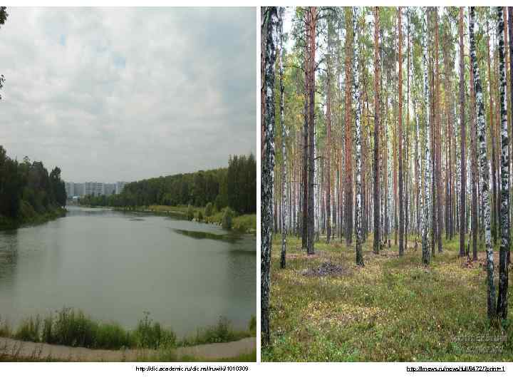 http: //dic. academic. ru/dic. nsf/ruwiki/1010309 http: //lrnews. ru/news/full/8472/? print=1 