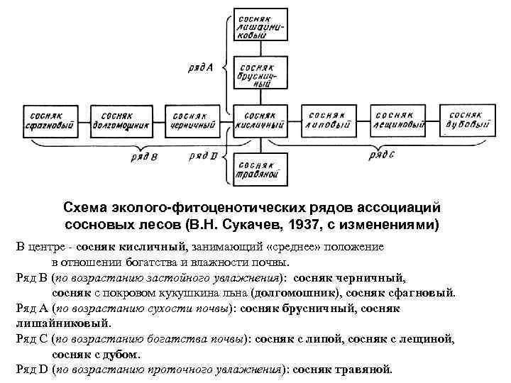 Эдафо фитоценотическая схема сукачева