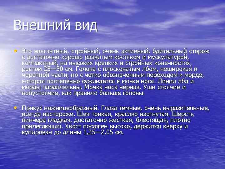 Внешний вид • Это элегантный, стройный, очень активный, бдительный сторож с достаточно хорошо развитым