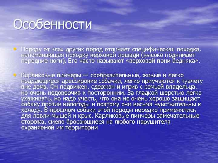 Особенности • Породу от всех других пород отличает специфическая походка, напоминающая походку верховой лошади