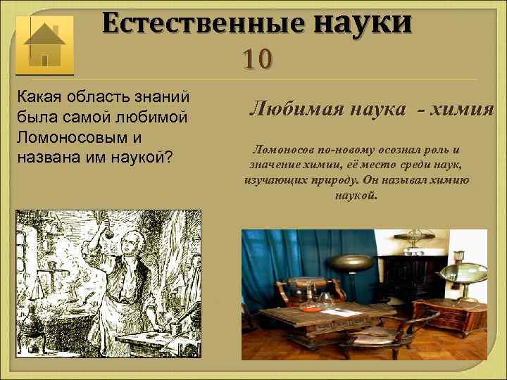 Естественные науки 10 Какая область знаний была самой любимой Ломоносовым и названа им наукой?