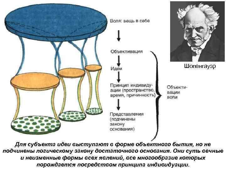 Шопенгауэр Для субъекта идеи выступают в форме объектного бытия, но не подчинены логическому закону