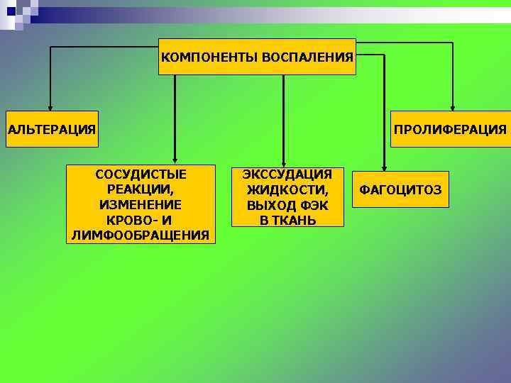 КОМПОНЕНТЫ ВОСПАЛЕНИЯ АЛЬТЕРАЦИЯ СОСУДИСТЫЕ РЕАКЦИИ, ИЗМЕНЕНИЕ КРОВО- И ЛИМФООБРАЩЕНИЯ ПРОЛИФЕРАЦИЯ ЭКССУДАЦИЯ ЖИДКОСТИ, ВЫХОД ФЭК