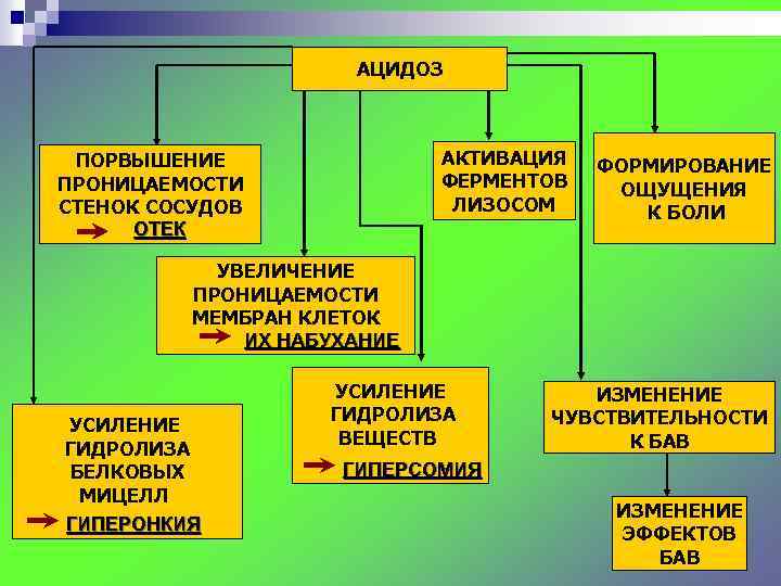 АЦИДОЗ АКТИВАЦИЯ ФЕРМЕНТОВ ЛИЗОСОМ ПОРВЫШЕНИЕ ПРОНИЦАЕМОСТИ СТЕНОК СОСУДОВ ОТЕК ФОРМИРОВАНИЕ ОЩУЩЕНИЯ К БОЛИ УВЕЛИЧЕНИЕ