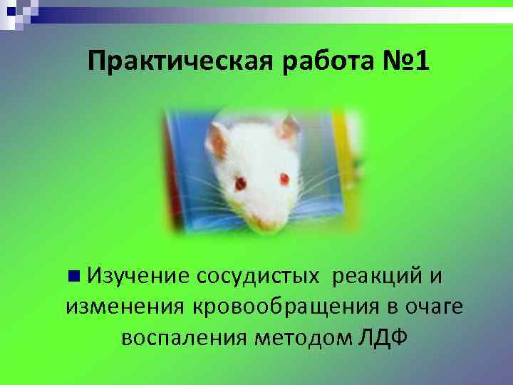 Практическая работа № 1 n Изучение сосудистых реакций и изменения кровообращения в очаге воспаления