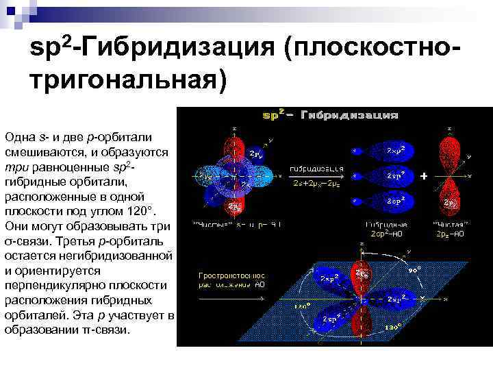 sp 2 -Гибридизация (плоскостнотригональная) Одна s- и две p-орбитали смешиваются, и образуются три равноценные