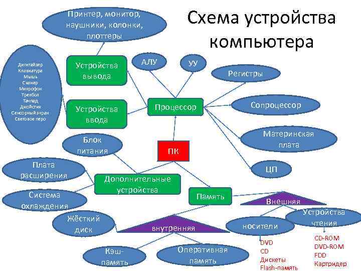 Схема устройства компьютера Принтер, монитор, наушники, колонки, плоттеры Дигитайзер Клавиатура Мышь Сканер Микрофон Трекбол