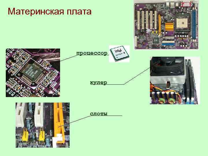 Материнская плата процессор кулер слоты 