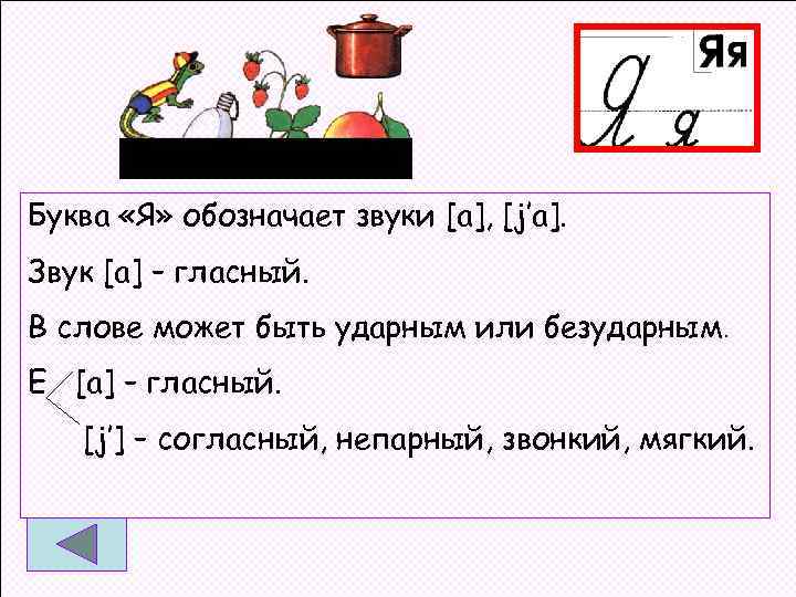 Буква «Я» обозначает звуки [а], [j’а]. Звук [а] – гласный. В слове может быть