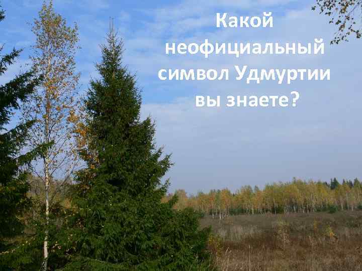 Какой неофициальный символ Удмуртии вы знаете? 