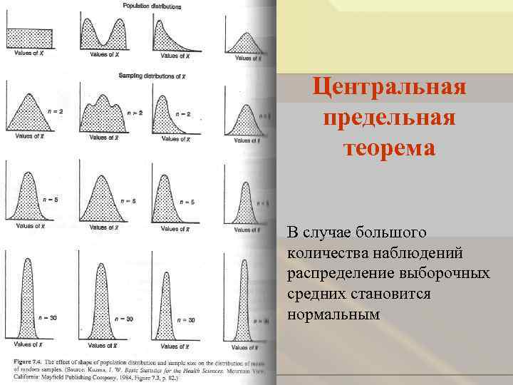 Центральная предельная теорема В случае большого количества наблюдений распределение выборочных средних становится нормальным 