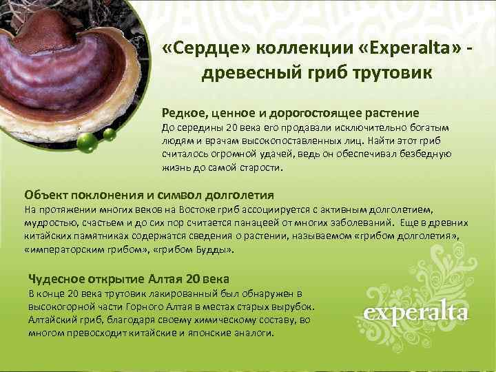  «Сердце» коллекции «Experalta» древесный гриб трутовик Редкое, ценное и дорогостоящее растение До середины