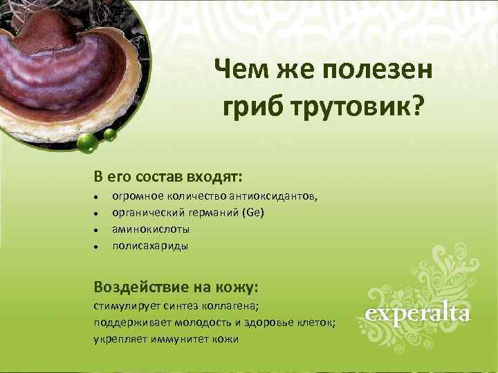 Чем же полезен гриб трутовик? В его состав входят: огромное количество антиоксидантов, органический германий