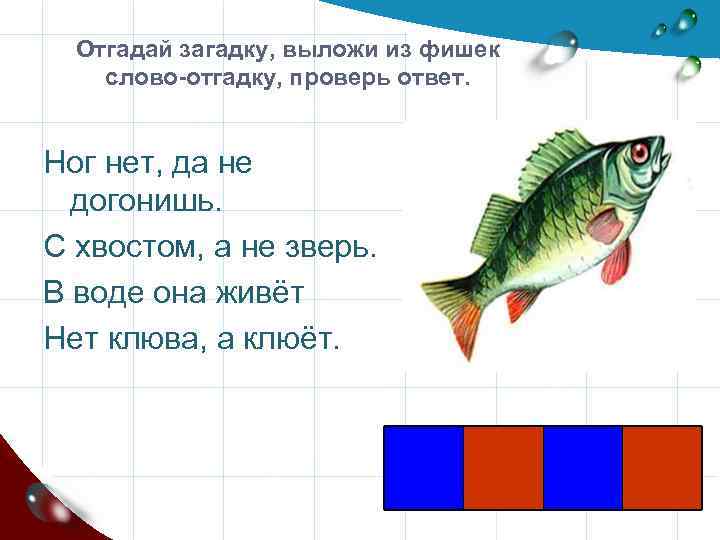 Отгадай загадку, выложи из фишек слово-отгадку, проверь ответ. Ног нет, да не догонишь. С