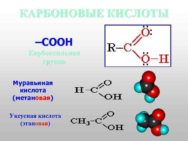 КАРБОНОВЫЕ КИСЛОТЫ –COOH Карбоксильная группа Муравьиная кислота (метановая) Уксусная кислота (этановая) 