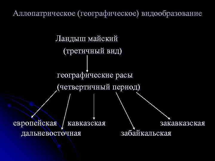 Аллопатрическое (географическое) видообразование Ландыш майский (третичный вид) географические расы (четвертичный период) европейская кавказская дальневосточная