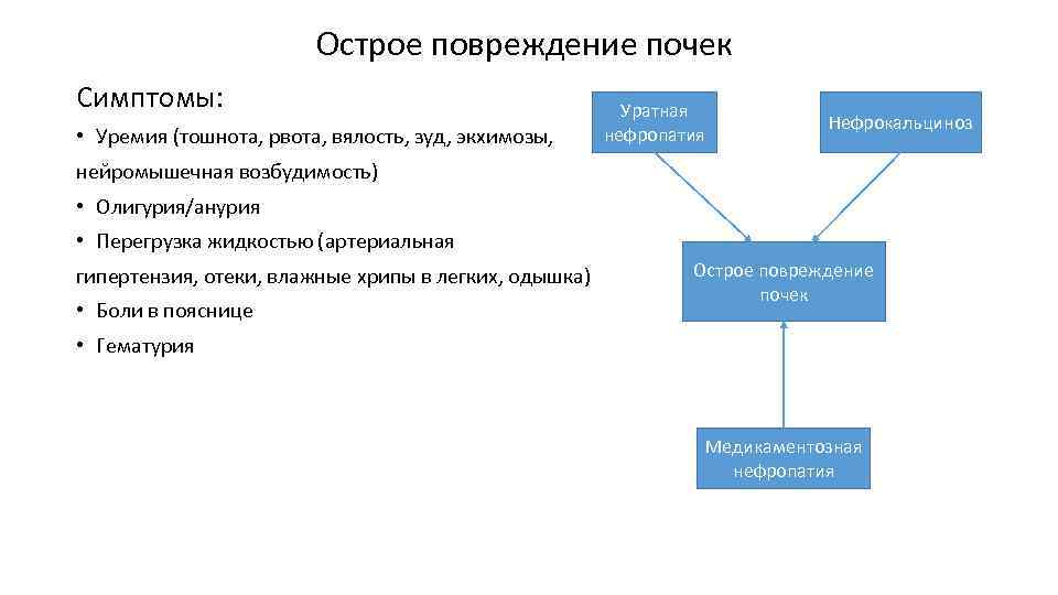 Острое повреждение почек Симптомы: • Уремия (тошнота, рвота, вялость, зуд, экхимозы, Уратная нефропатия Нефрокальциноз