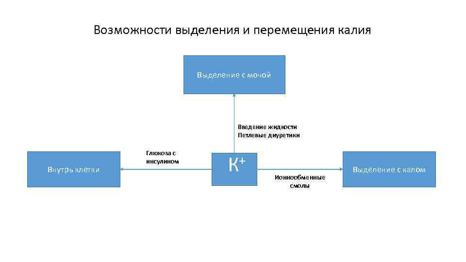 Возможности выделения и перемещения калия Выделение с мочой Введение жидкости Петлевые диуретики Внутрь клетки