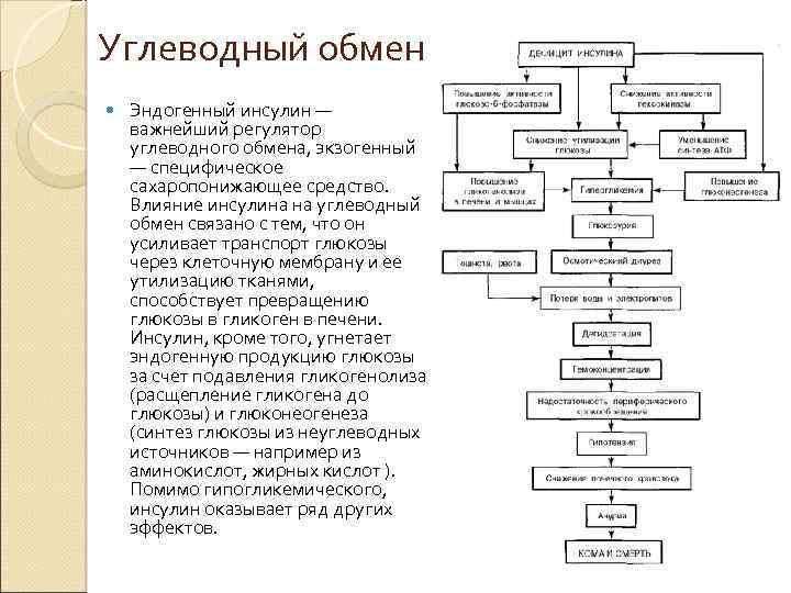 Углеводный обмен Эндогенный инсулин — важнейший регулятор углеводного обмена, экзогенный — специфическое сахаропонижающее средство.