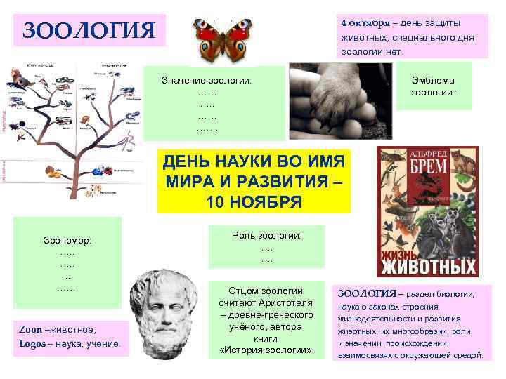 ЗООЛОГИЯ 4 октября – день защиты животных, специального дня зоологии нет. Значение зоологии: ……