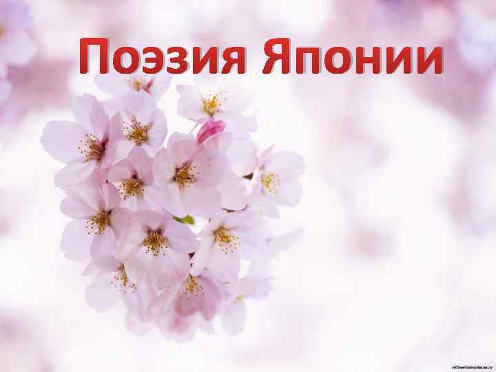 Поэзия Японии 