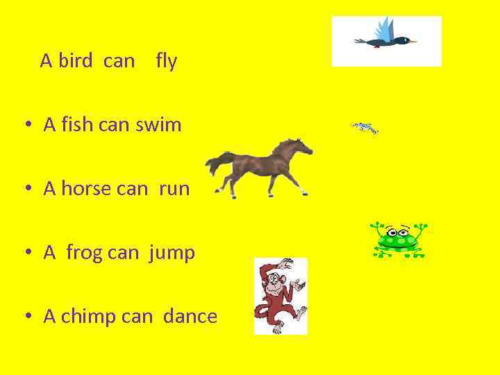 A bird can fly • A fish can swim • A horse can run