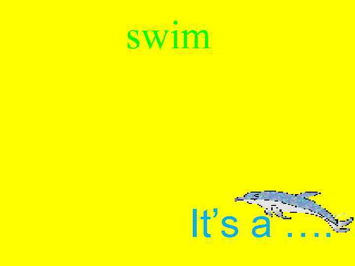 swim It’s a …. 