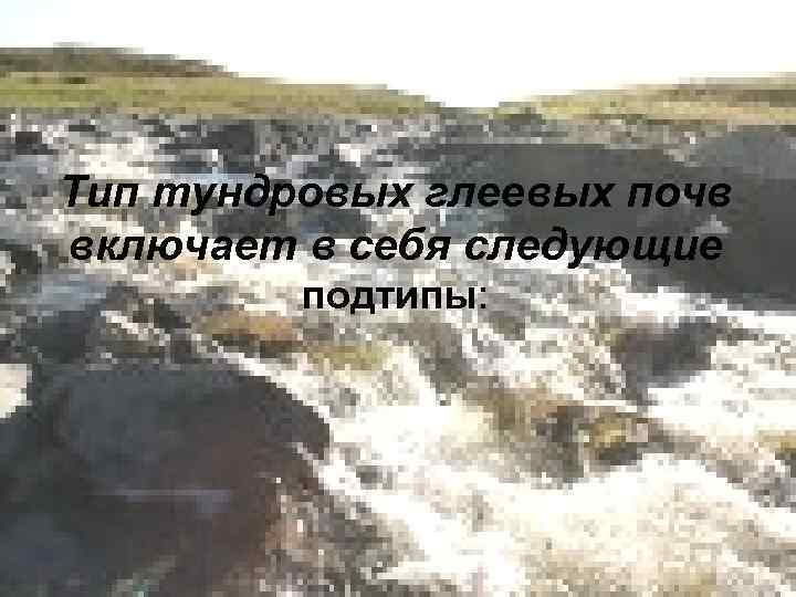Тип тундровых глеевых почв включает в себя следующие подтипы: 