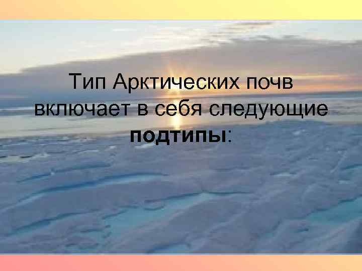 Тип Арктических почв включает в себя следующие подтипы: 