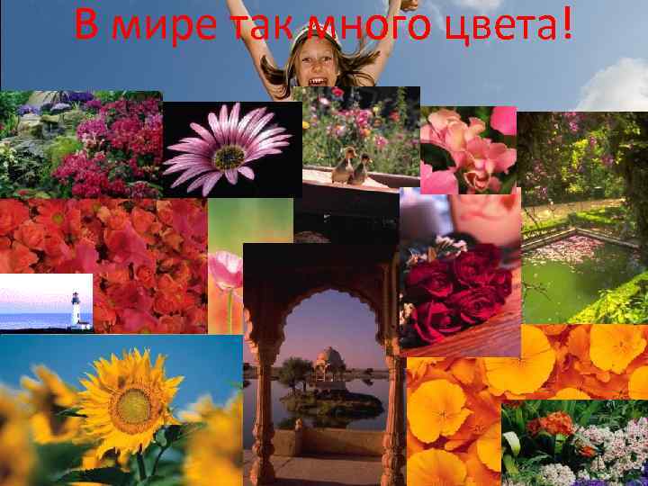В мире так много цвета! 
