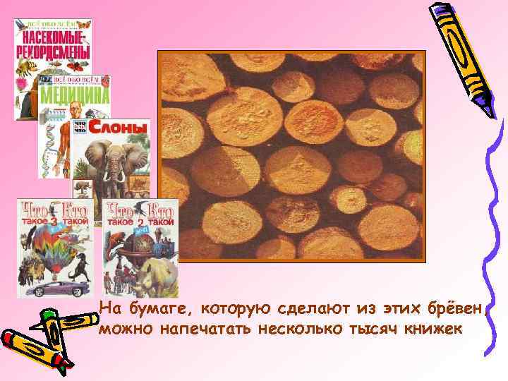 На бумаге, которую сделают из этих брёвен, можно напечатать несколько тысяч книжек 