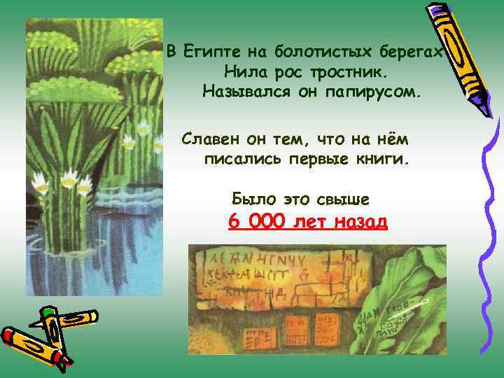 В Египте на болотистых берегах Нила рос тростник. Назывался он папирусом. Славен он тем,