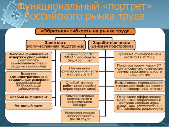 Функциональный «портрет» российского рынка труда 61 
