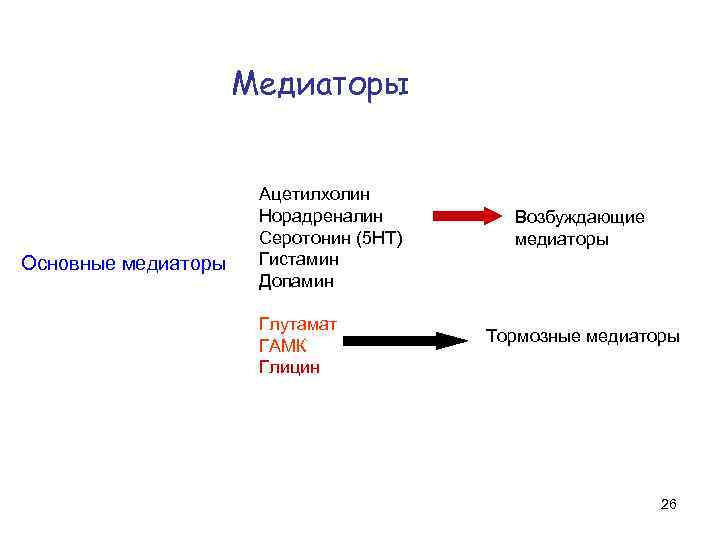 Тормозные медиаторы