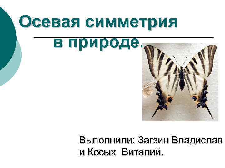 Осевая симметрия в природе. Выполнили: Загзин Владислав и Косых Виталий. 