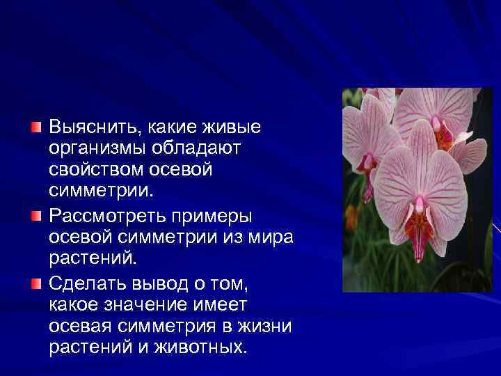 Выяснить, какие живые организмы обладают свойством осевой симметрии. Рассмотреть примеры осевой симметрии из мира