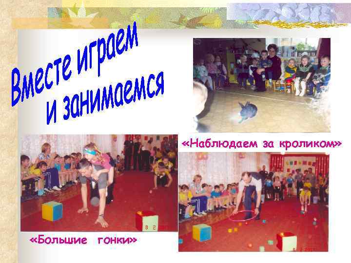  «Наблюдаем за кроликом» «Большие гонки» 