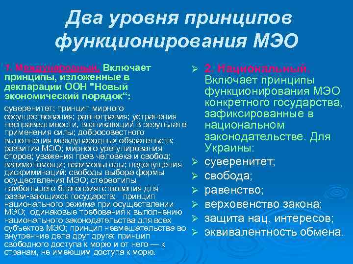 Два уровня принципов функционирования МЭО 1. Международный. Включает принципы, изложенные в декларации ООН 
