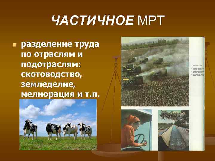 ЧАСТИЧНОЕ МРТ n разделение труда по отраслям и подотраслям: скотоводство, земледелие, мелиорация и т.