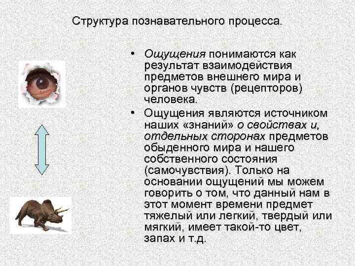 Структура познавательного процесса. • Ощущения понимаются как результат взаимодействия предметов внешнего мира и органов