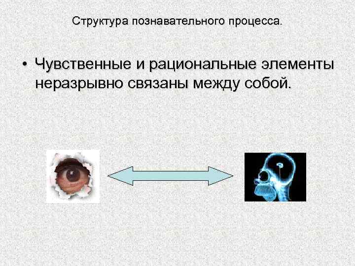 Структура познавательного процесса. • Чувственные и рациональные элементы неразрывно связаны между собой. 